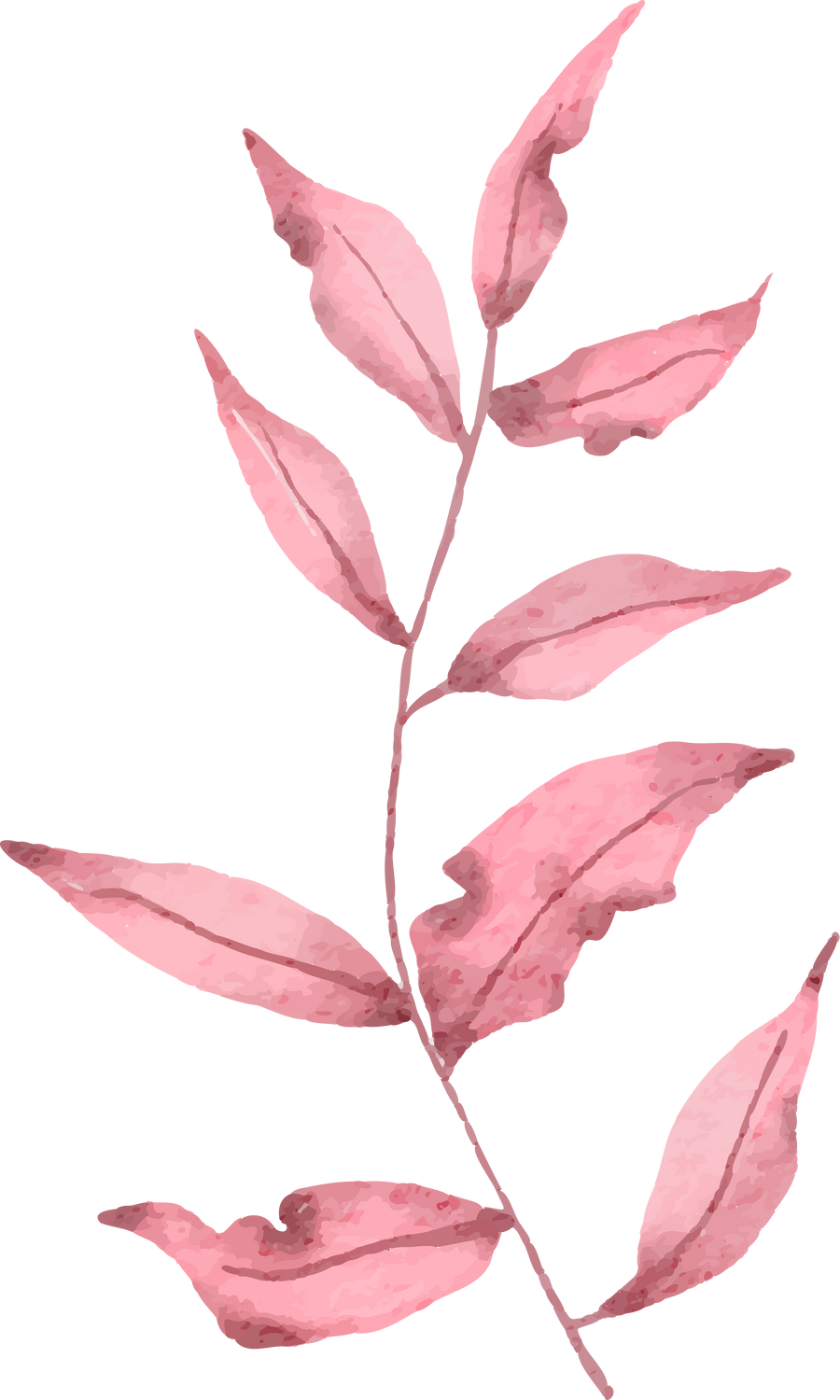 Branch of Pink Leaves in Water Color for Valentine Ornament